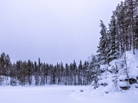 Park Narodowy Oulanka